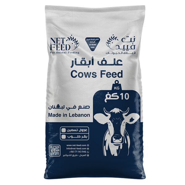 Dairy High-Yielding Cows Fodder